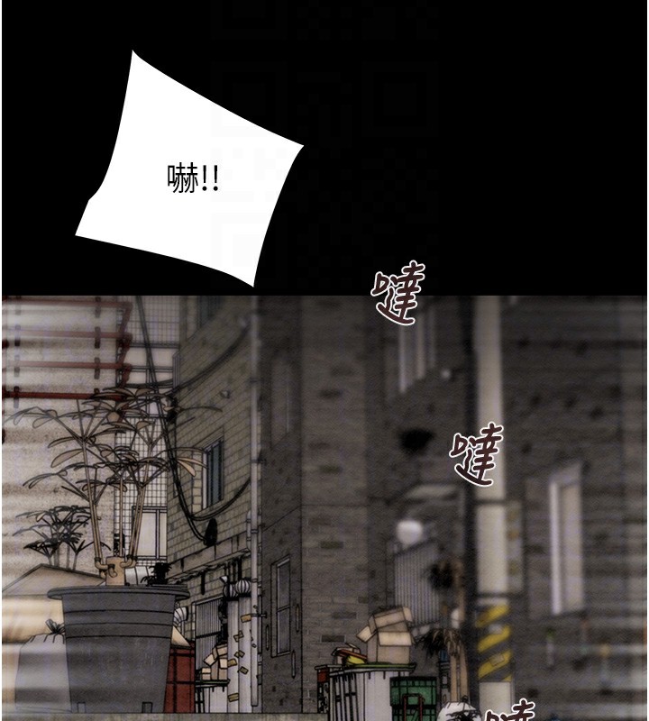 115P - 掠夺行动