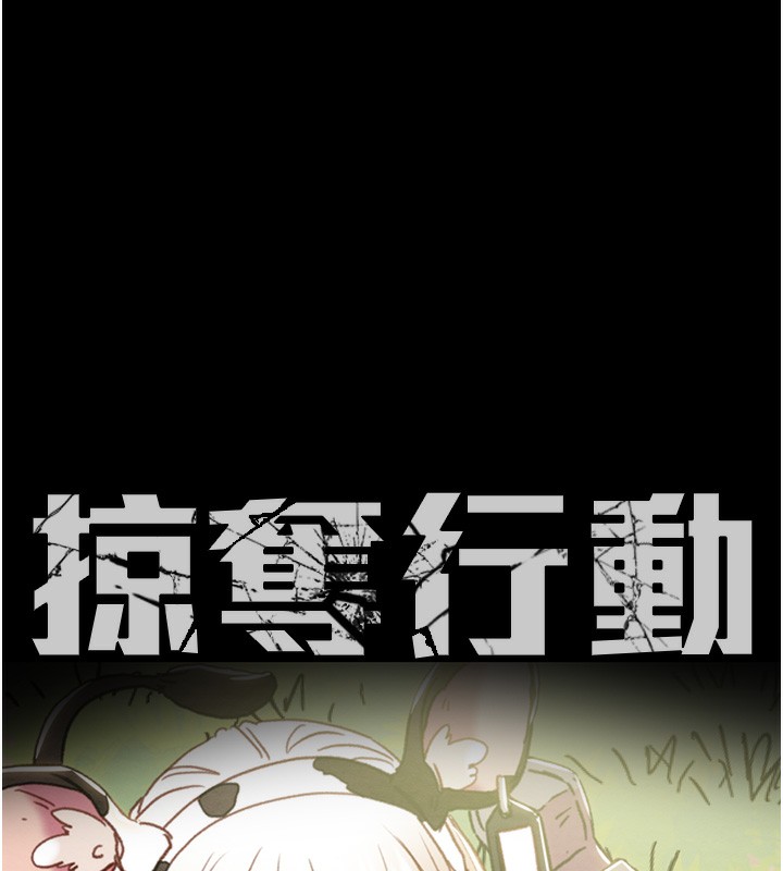 17P - 掠夺行动