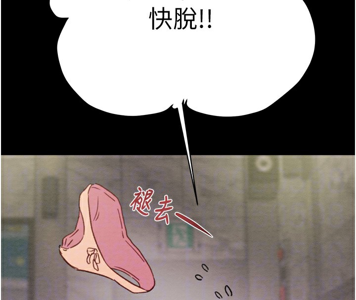66P - 掠夺行动