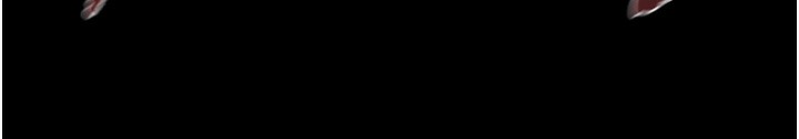 219P - 掠夺行动