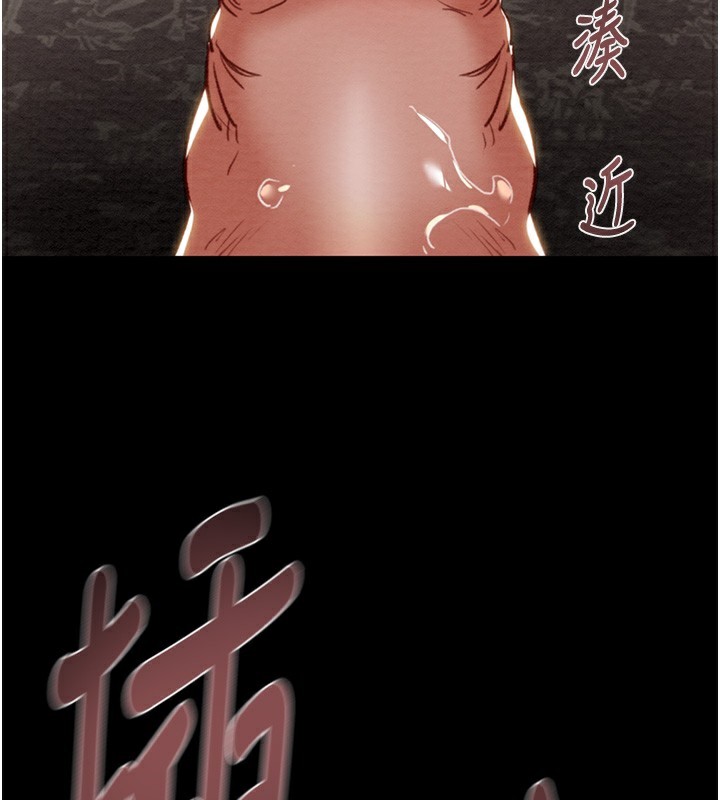 245P - 掠夺行动
