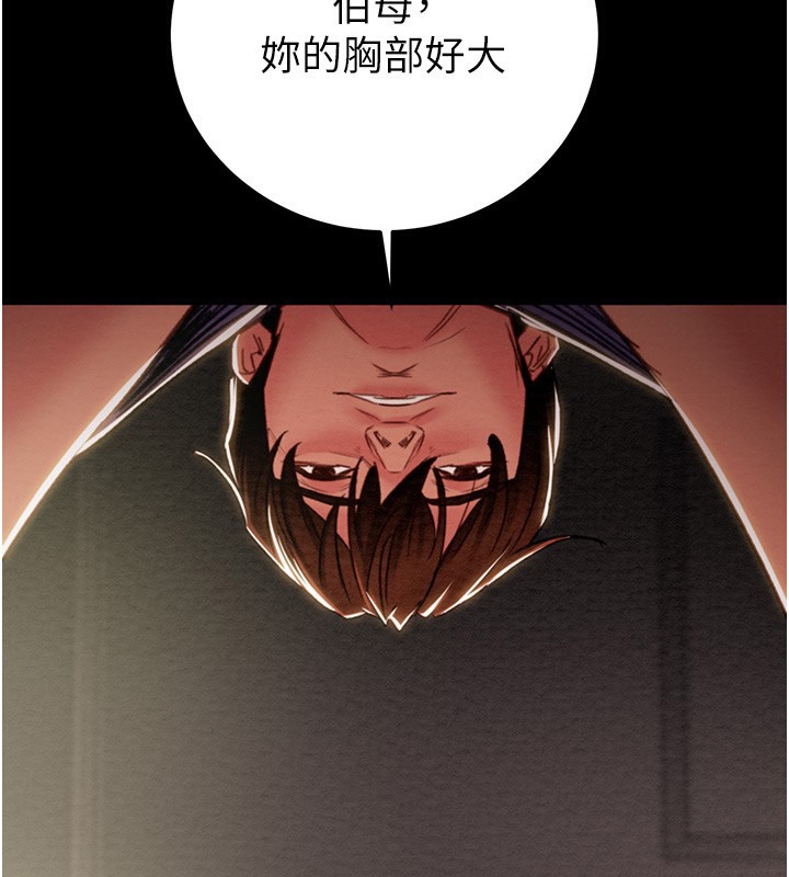 163P - 掠夺行动