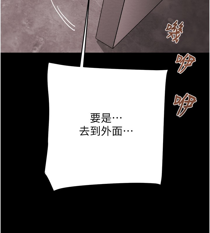 211P - 掠夺行动