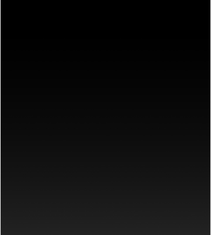 214P - 掠夺行动
