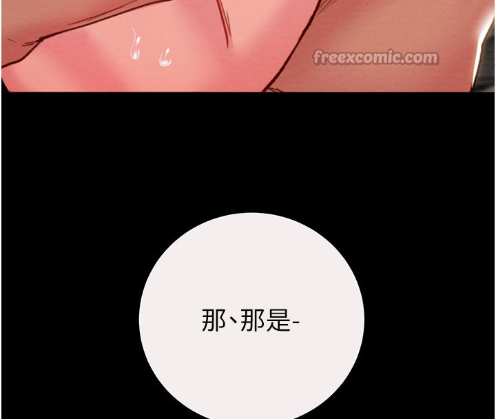 28P - 掠夺行动