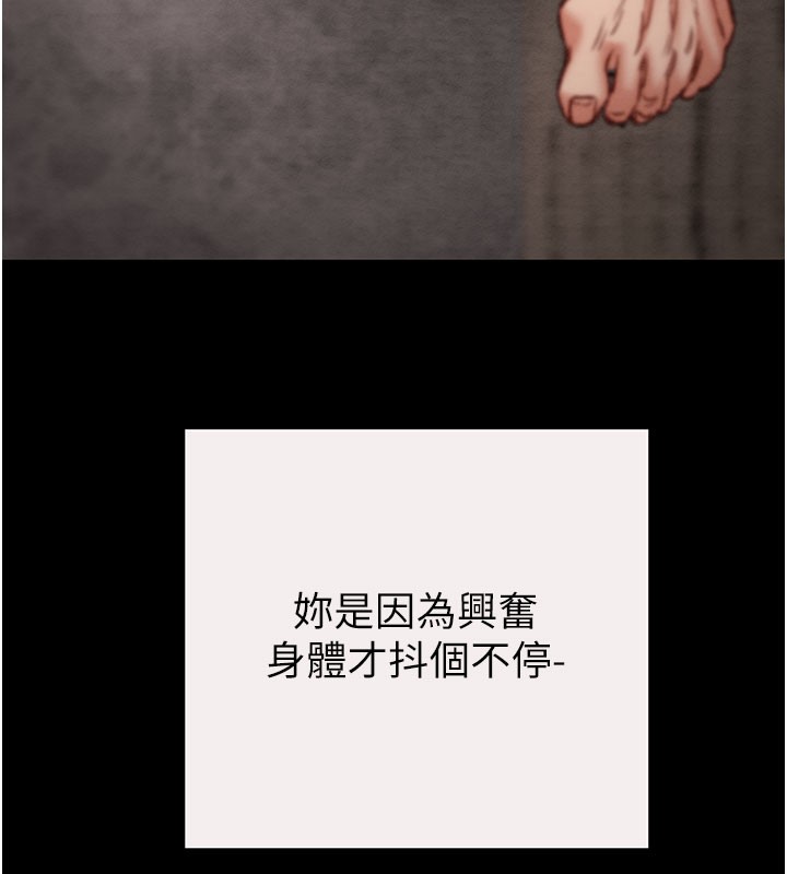 37P - 掠夺行动