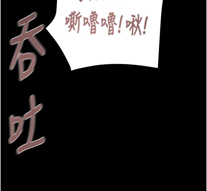 163P - 掠夺行动