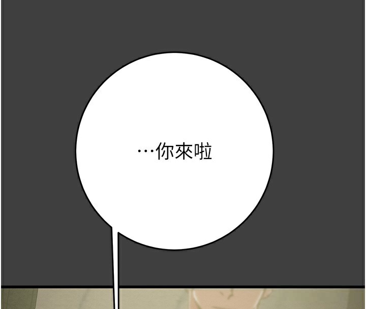 4P - 掠夺行动