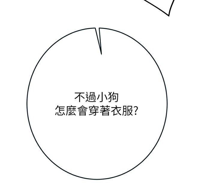 176P - 掠夺行动