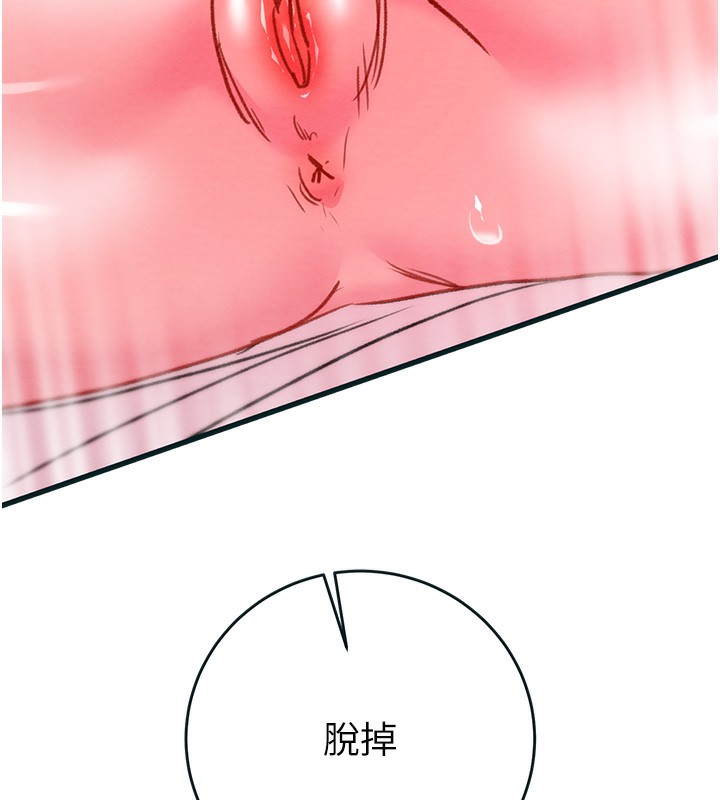 178P - 掠夺行动