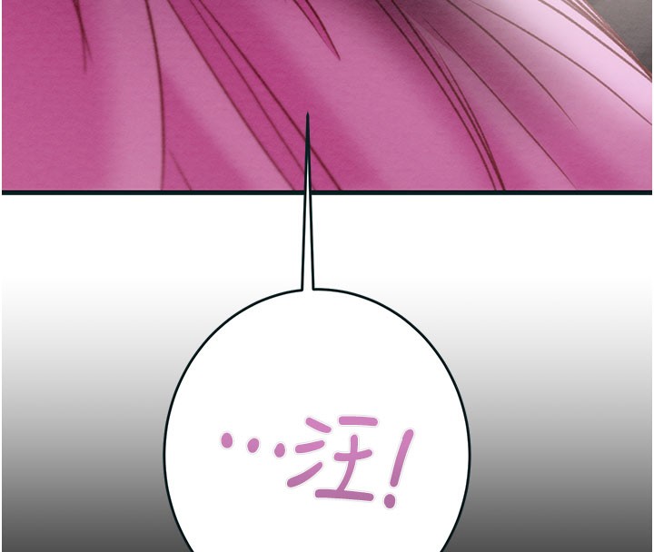 15P - 掠夺行动