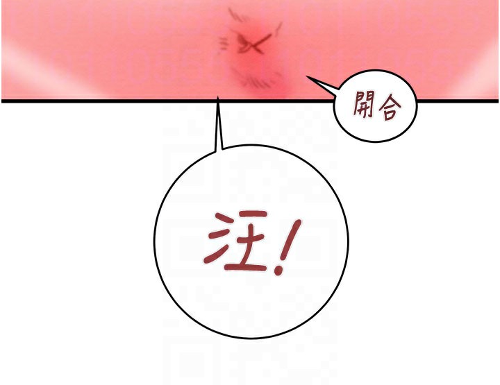 32P - 掠夺行动