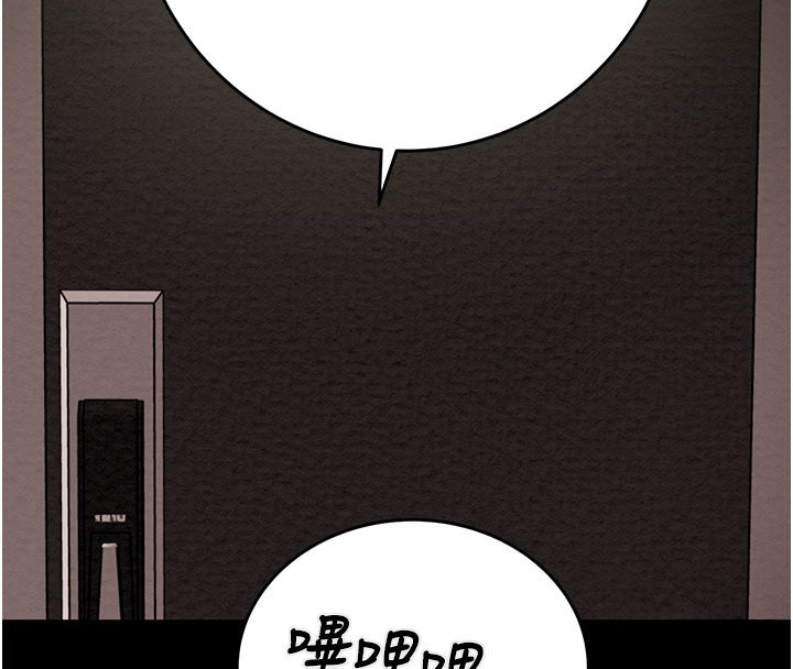 215P - 掠夺行动