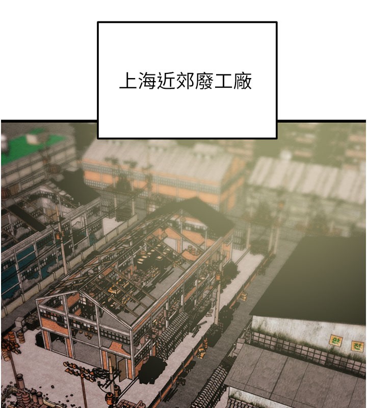 222P - 掠夺行动