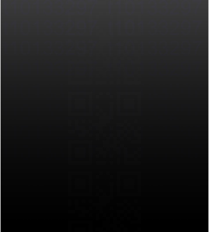103P - 掠夺行动