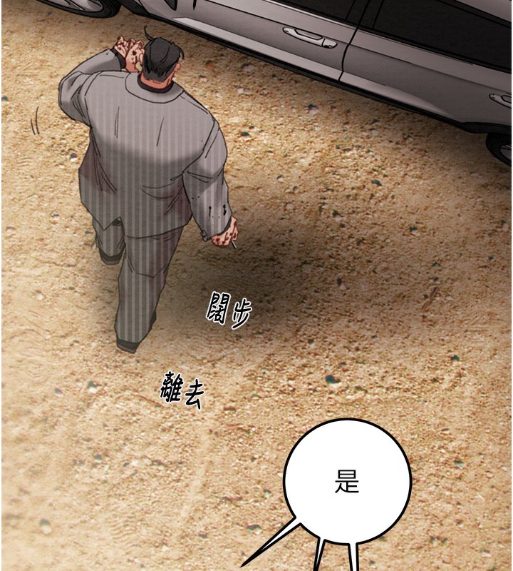 206P - 掠夺行动