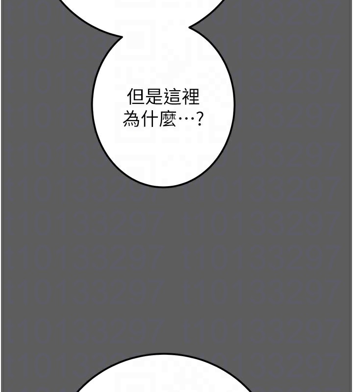 95P - 掠夺行动