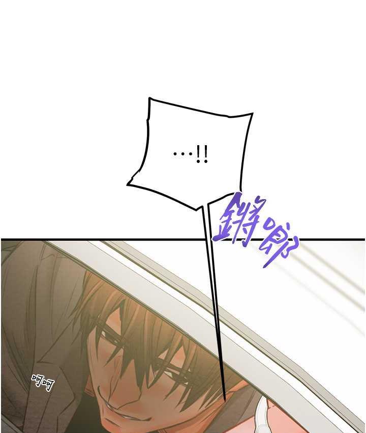 14P - 掠夺行动