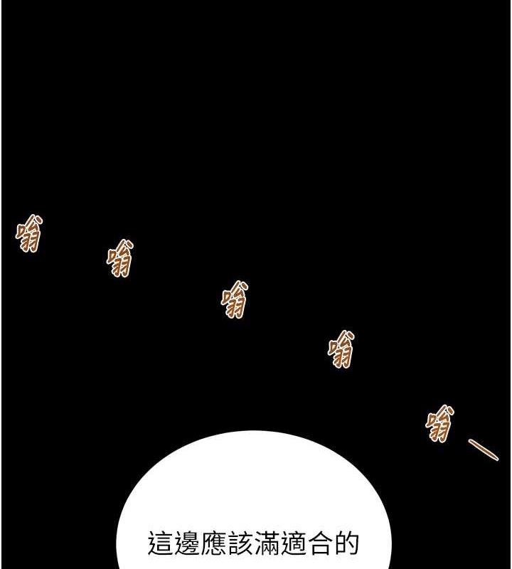 26P - 掠夺行动
