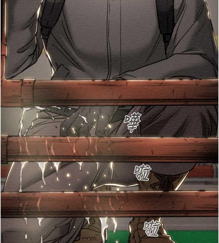 33P - 掠夺行动