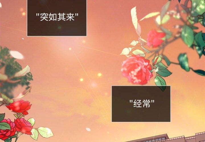 4P - 协议关系