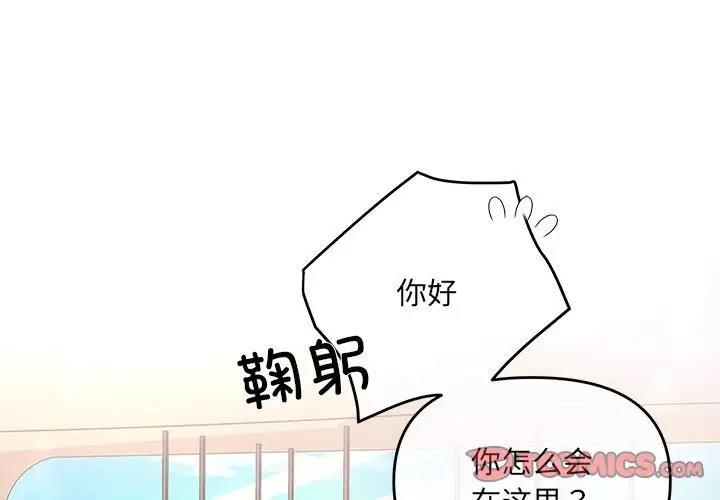 3P - 协议关系