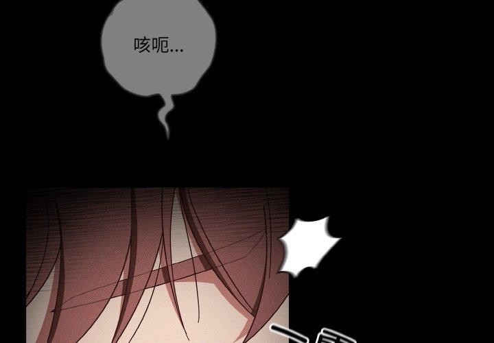 4P - 天降美差