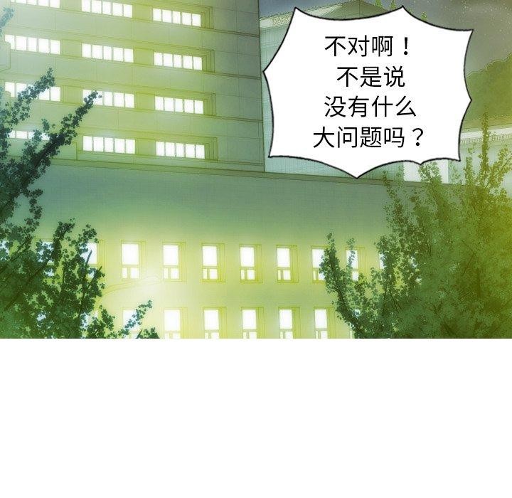 29P - 不可抗拒的吸引