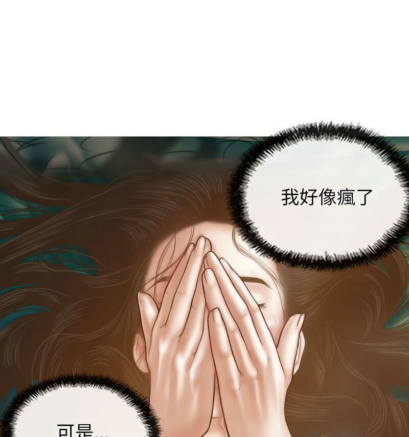 113P - 不可抗拒的吸引