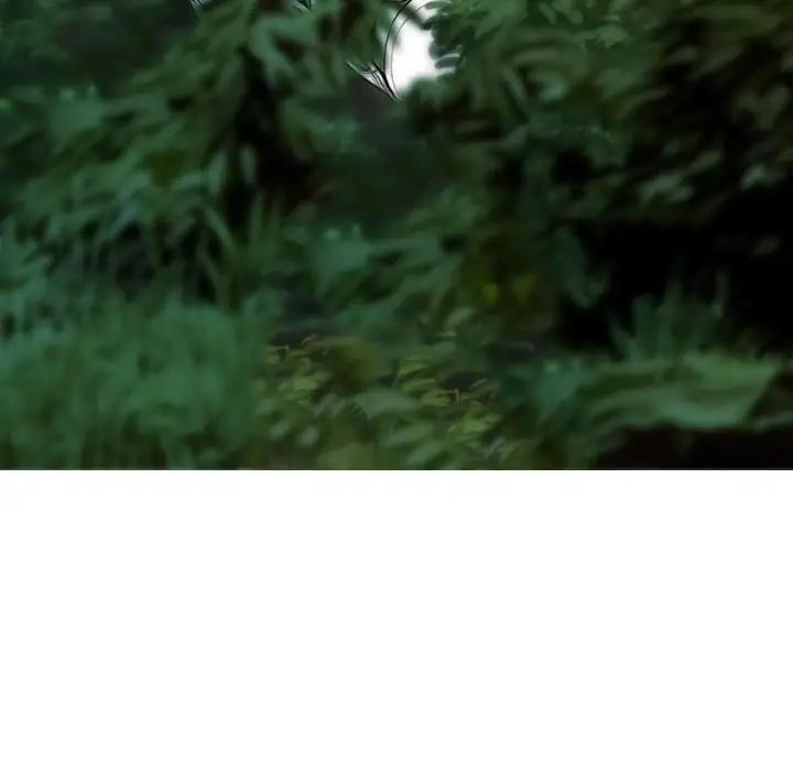 162P - 不可抗拒的吸引