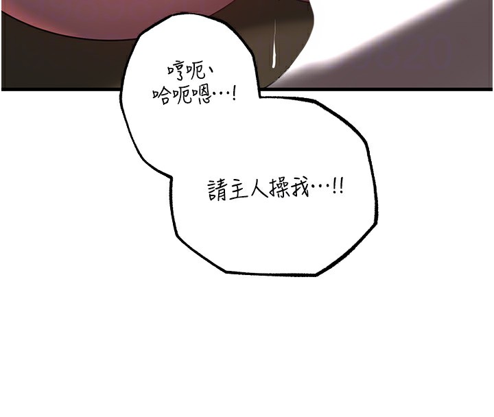 82P - 岳母为何那样