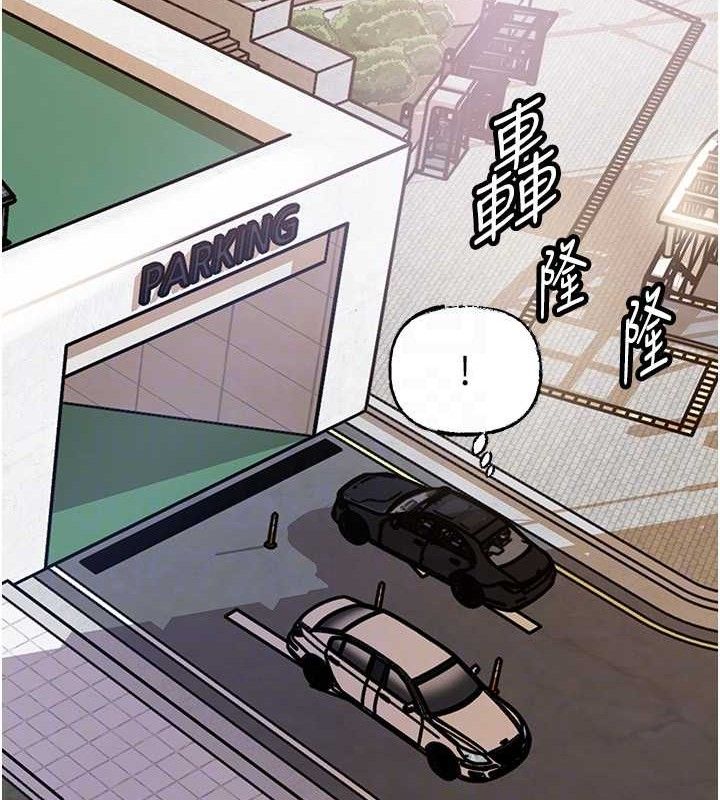 41P - 岳母为何那样