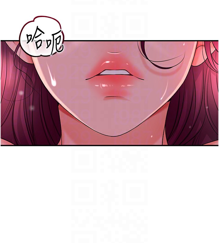 50P - 花容湿色:取花点