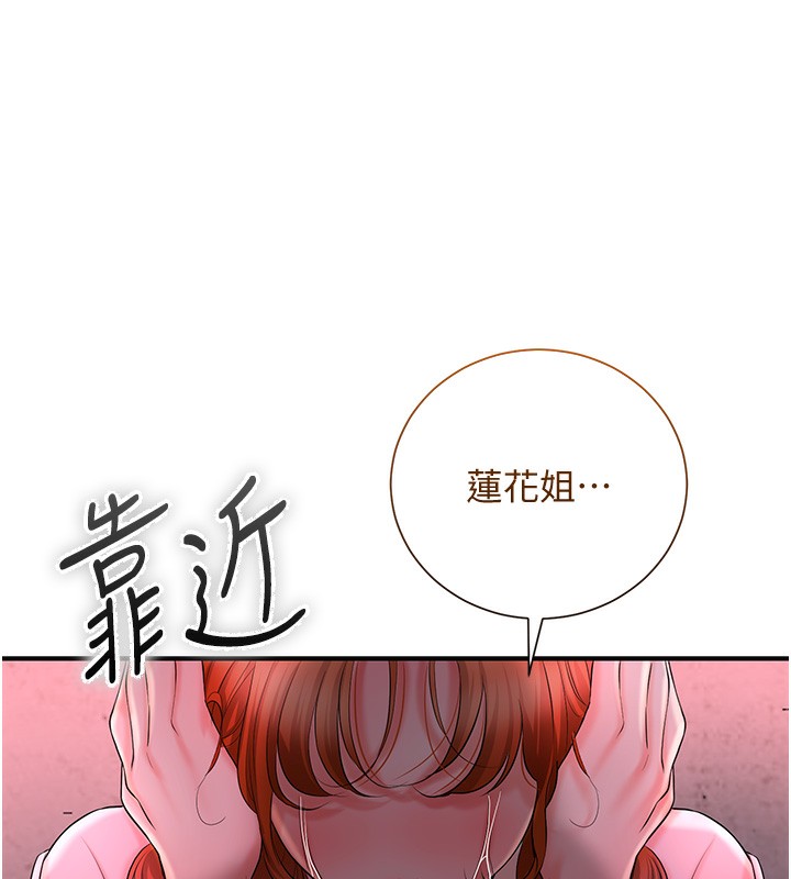 22P - 花容湿色:取花点