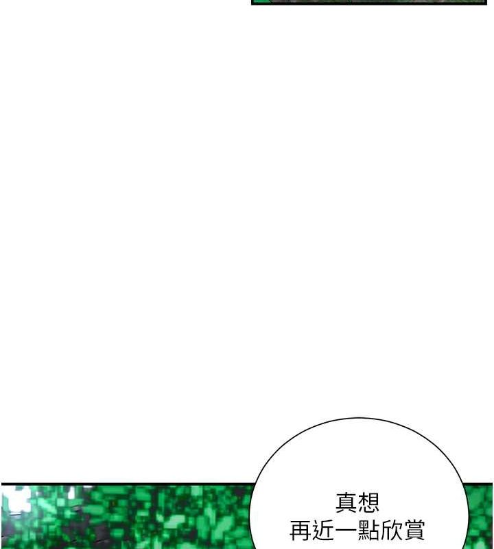 70P - 花容湿色:取花点