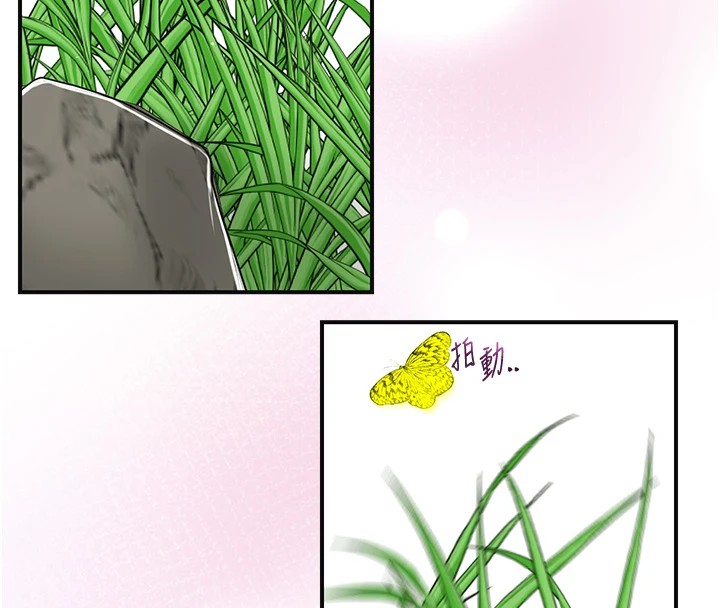 121P - 花容湿色:取花点