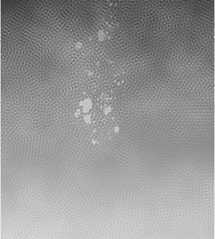 28P - 花容湿色:取花点