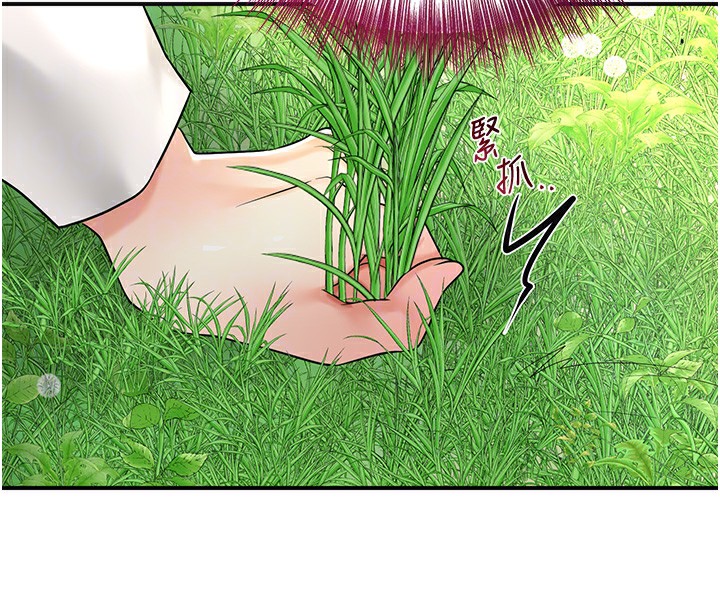 36P - 花容湿色:取花点