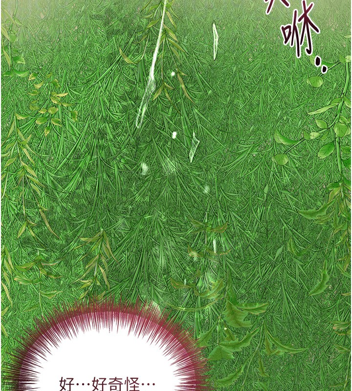 105P - 花容湿色:取花点