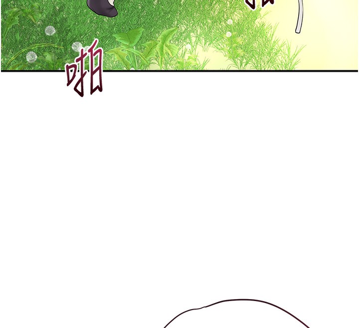 57P - 花容湿色:取花点