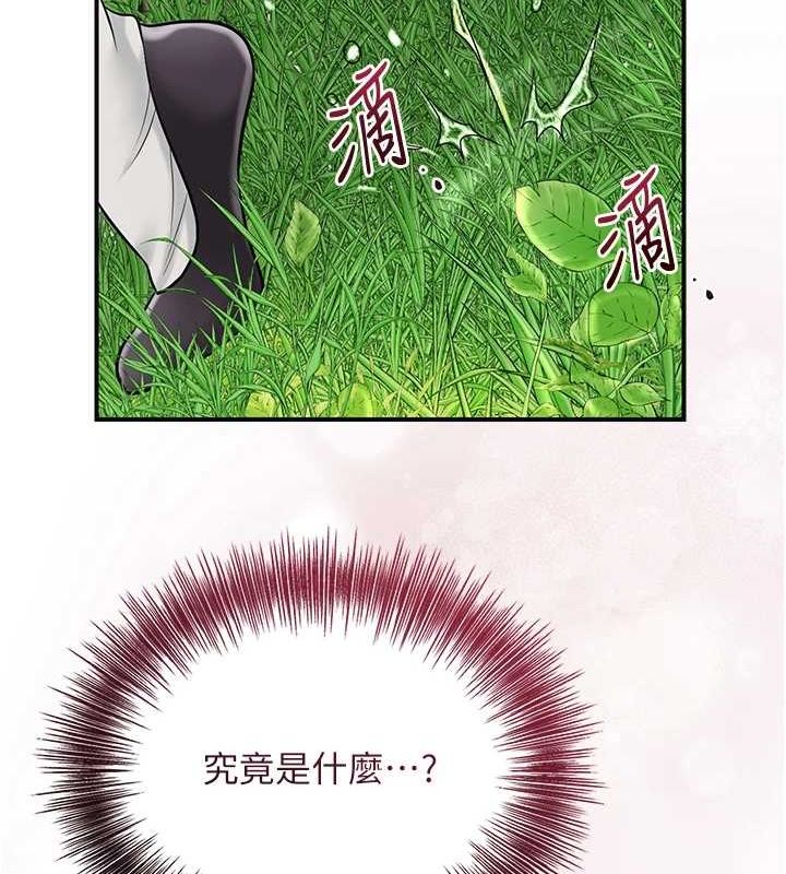 23P - 花容湿色:取花点