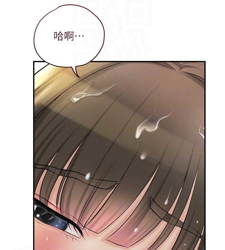 61P - 花容湿色:取花点