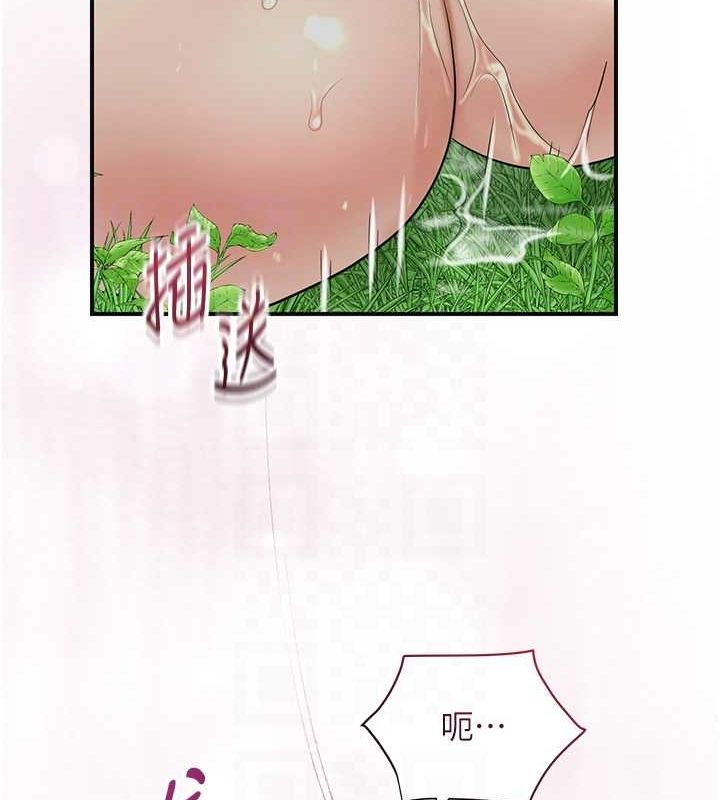 106P - 花容湿色:取花点
