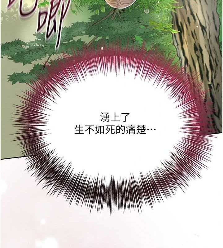 11P - 花容湿色:取花点