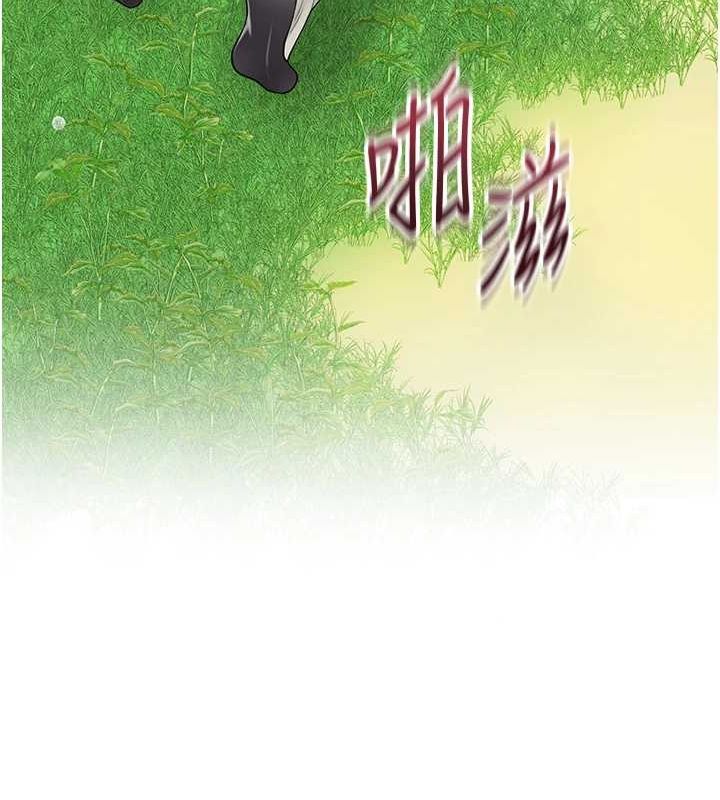 42P - 花容湿色:取花点