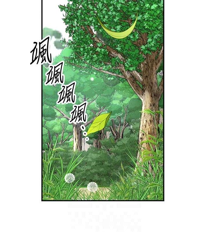 44P - 花容湿色:取花点