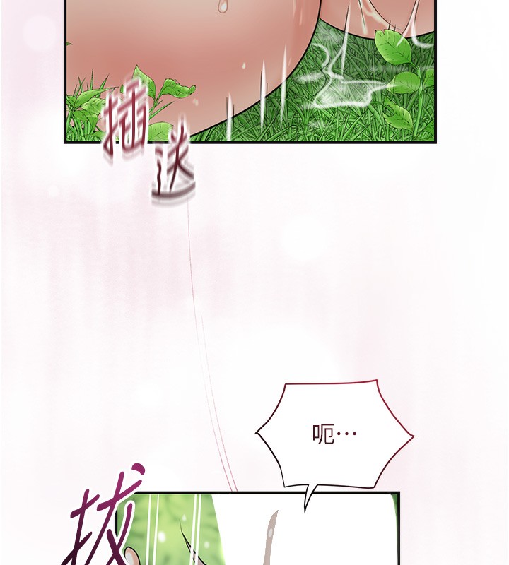 9P - 花容湿色:取花点