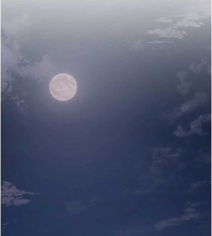 41P - 花容湿色:取花点