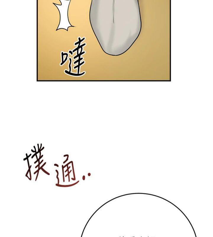 65P - 花容湿色:取花点