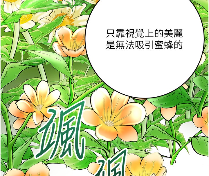 82P - 花容湿色:取花点